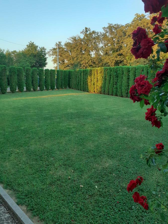 Maja Apartment Velika Gorica Bagian luar foto